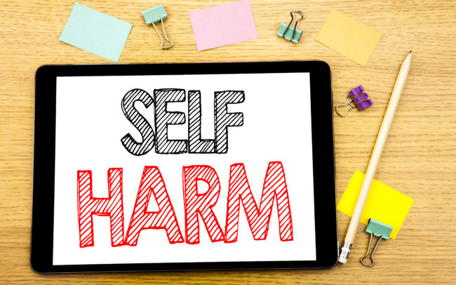 Self Harm Training