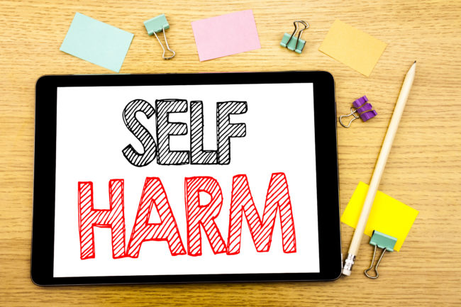 Self Harm Training